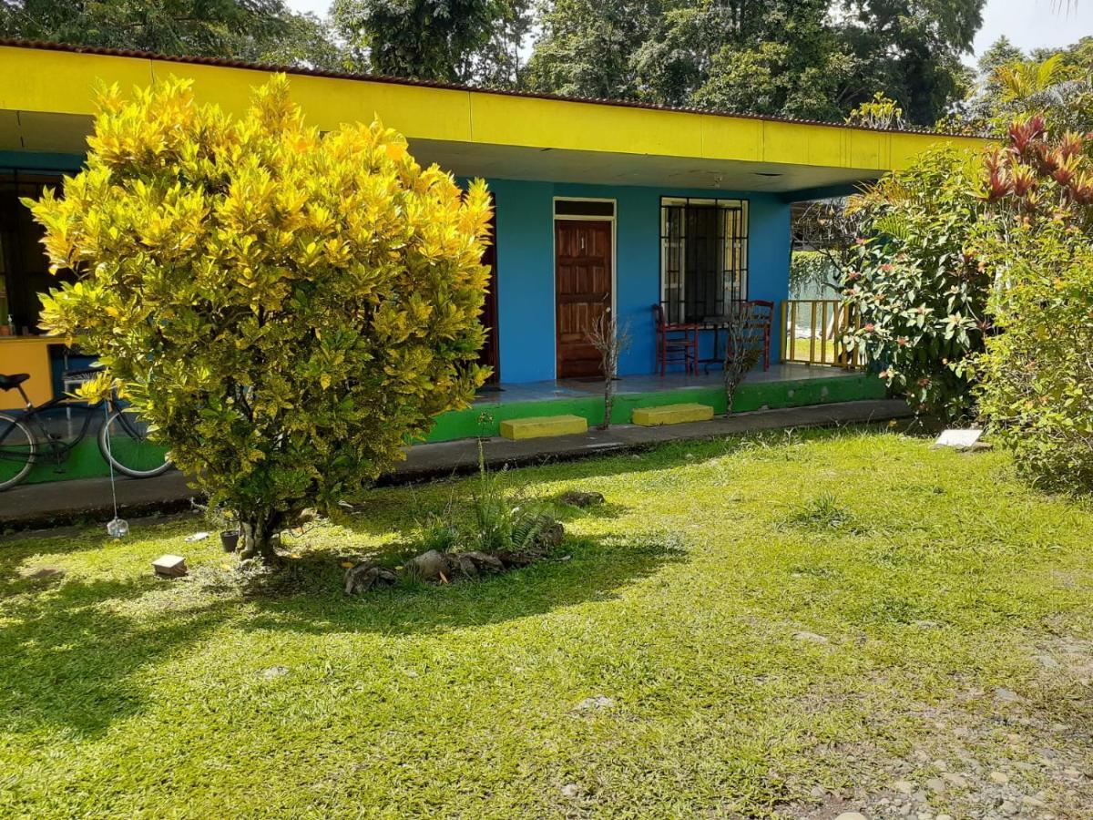 Rooms Palmeras Cahuita Esterno foto
