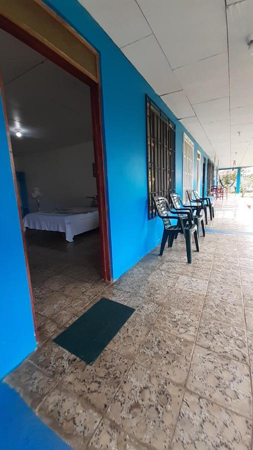 Rooms Palmeras Cahuita Esterno foto