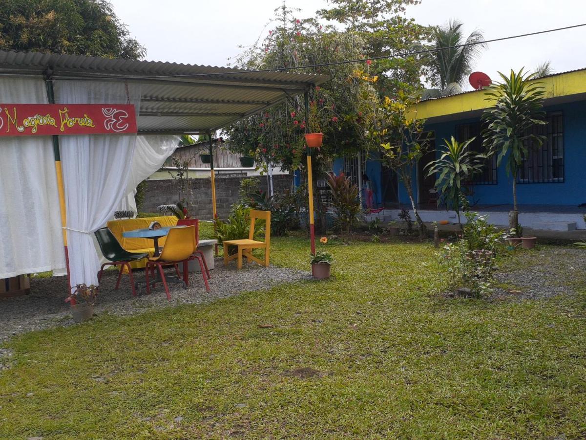 Rooms Palmeras Cahuita Esterno foto
