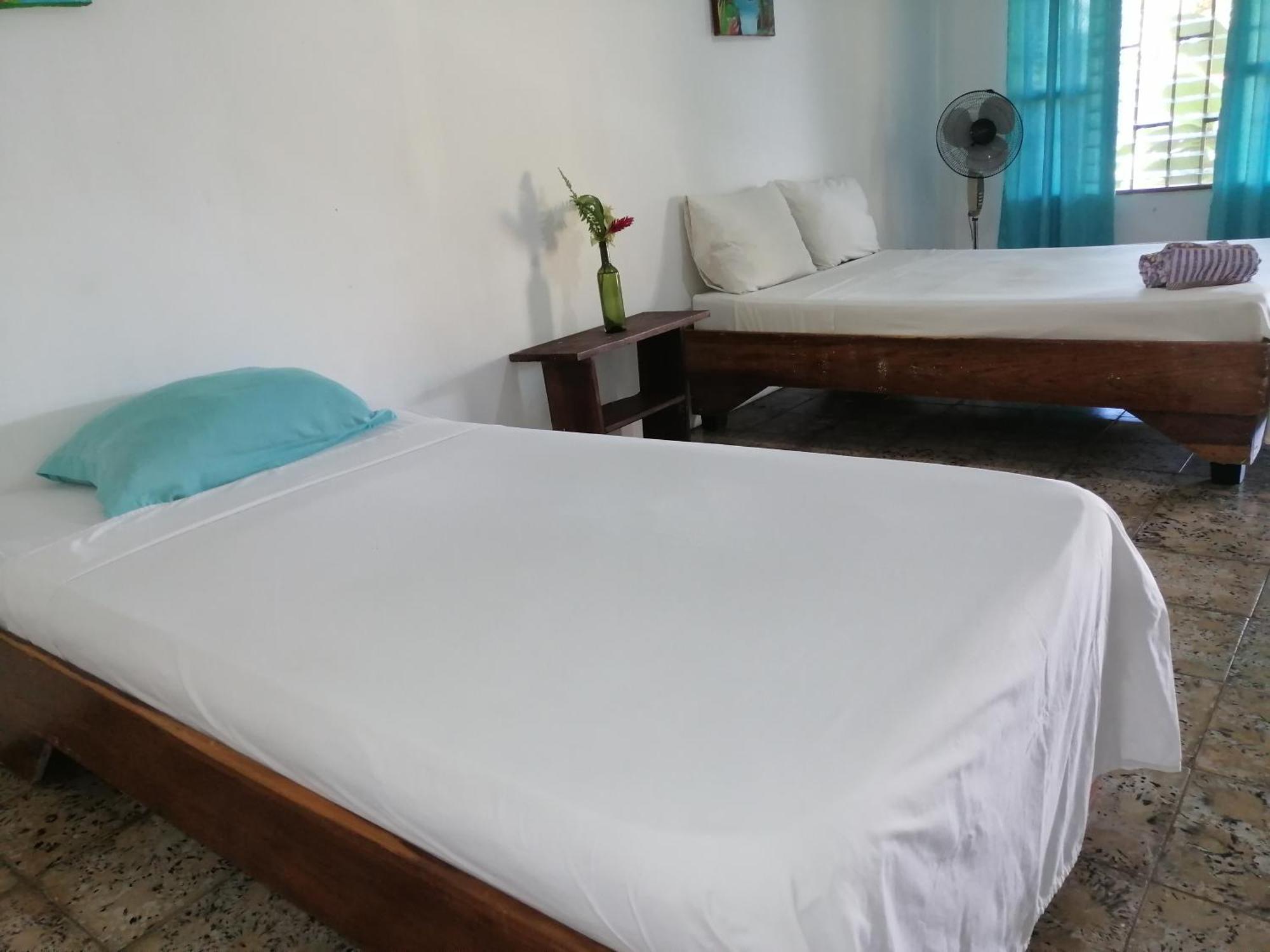 Rooms Palmeras Cahuita Esterno foto